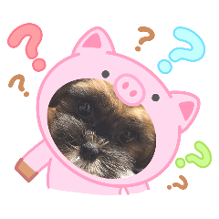 mizuki_20250824201255