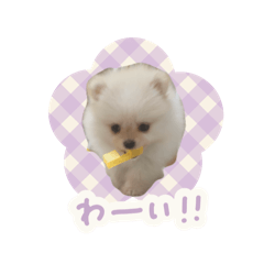 yuka_20250824075837