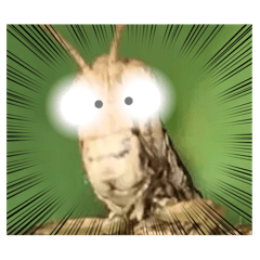 My love_20250824144646