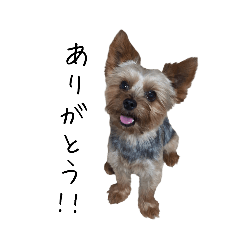 asahi_20250825003046