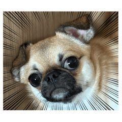 tawashi_20250825001806