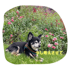 Mario_20250824140428