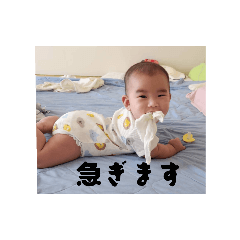 akari_20250824205319