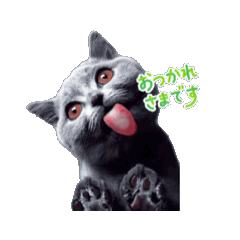 platinum_20250824213408