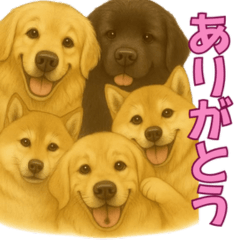 Muku Familys Daily Life