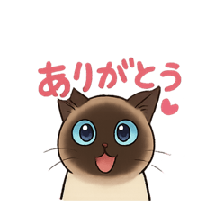 aiman_20250824071328