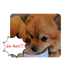 Mee Tung_20250824203416