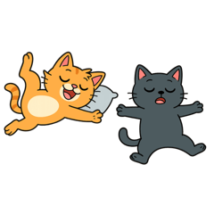 無言日常（五）：從出門到睡著，全都要報告