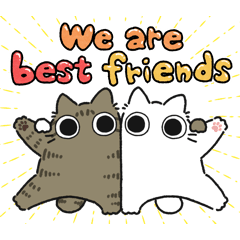 Brown tabby chubby cat (Friend)