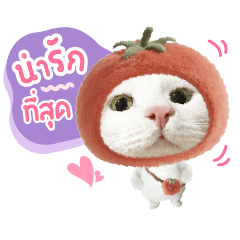 ไข่ขาวลูกแมร๊ V.3