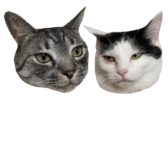 Tomatotouyunosutanpu