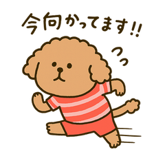 Fluffy Toy Poodle Daily Stickers 2