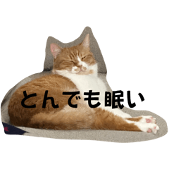 machan_20250824152849