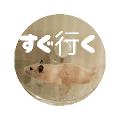 hana_20250824151942
