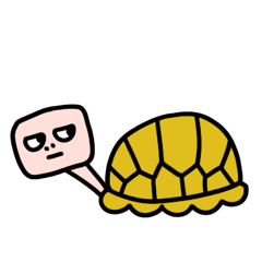 Daily life of turtles