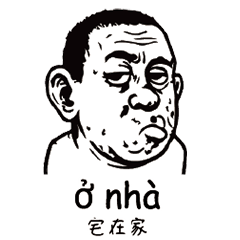 Vietnamese_Chinese_Ugly Face 5