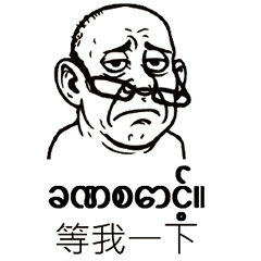 Burmese_Chinese_Ugly Face