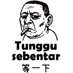 Indonesian_Chinese_Ugly Face 5