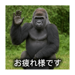 Business Gorilla -work-