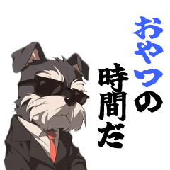 Cool moving schnauzer