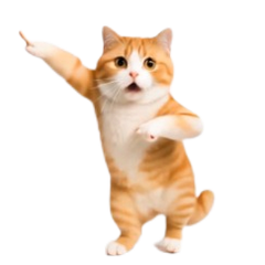 *move! moving cat's daily life4