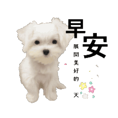 萌犬甜甜＆樂樂