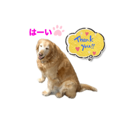 AKANE_20250821133136