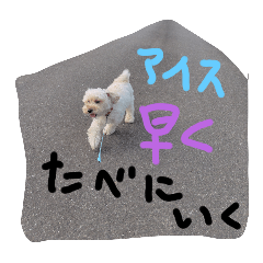 SAORI_20250823174820