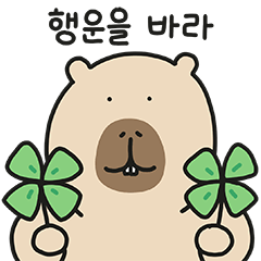 My Friend Puffy Capybara