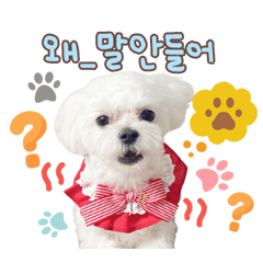 Hello my name is Solthang V.1