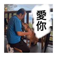 我們這一家-毛小孩版（第二彈）