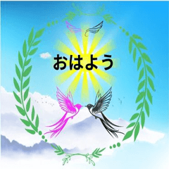 Message of Light Birds