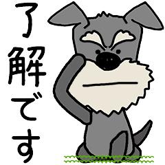 ず〜っと使える♡シュナウザー