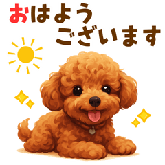 トイプードル好きのためのかわいい日常