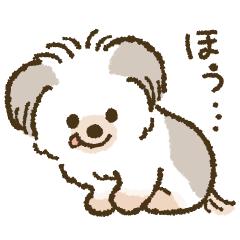 マッシュといっしょ