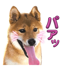 Mumu _20250825153336