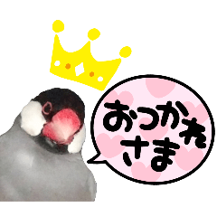 hikari_20250825065441