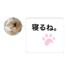 K_20250825184338