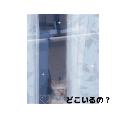 Riko1210_20250825203145