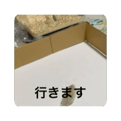 k_20250825205351