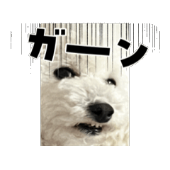 yuka_20250825213358