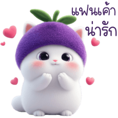 โนวา แมวขาวหมวกมังคุด 1_92