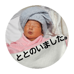 hikari_20250824110818