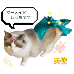 m_20250824135806