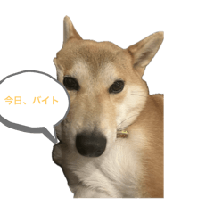 omochi_20250825143602