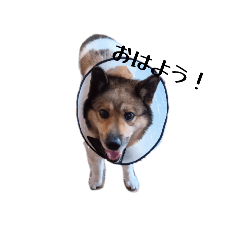 Saori_20250825155255