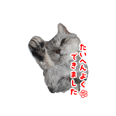 kiki_20250825174533