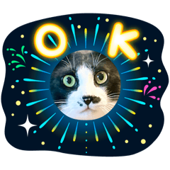 MAHIRO_20250825145948