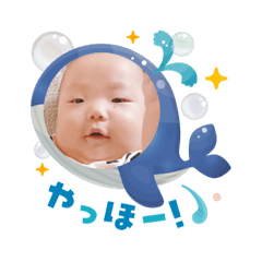 gomama_20250825104322