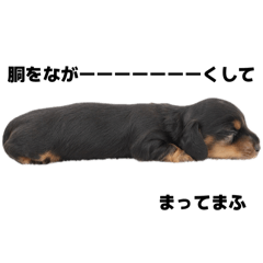 kinako_20250825225124